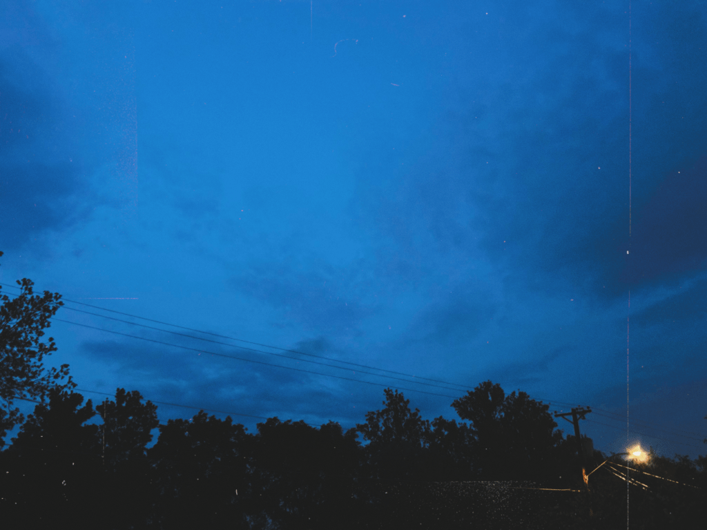 Lizard plays dress&nbsp;up